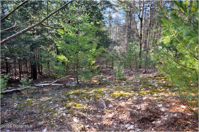 L9 New Hague Rd, Hague, NY 12836 - photo 18