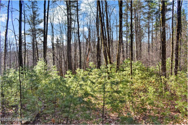 L9 New Hague Rd, Hague, NY 12836 - photo 12