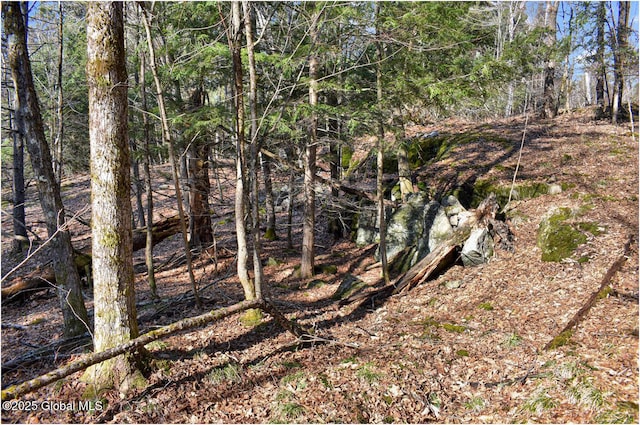 L9 New Hague Rd, Hague, NY 12836 - photo 21