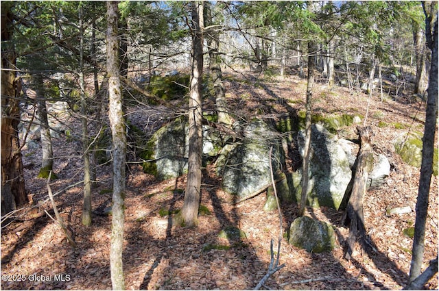 L9 New Hague Rd, Hague, NY 12836 - photo 33