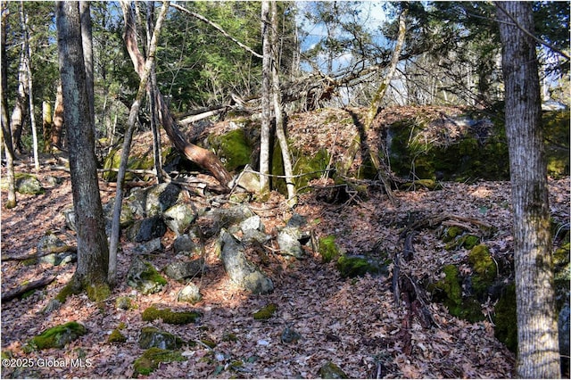 L9 New Hague Rd, Hague, NY 12836 - photo 30