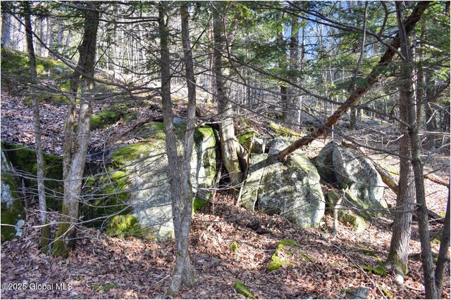 L9 New Hague Rd, Hague, NY 12836 - photo 31