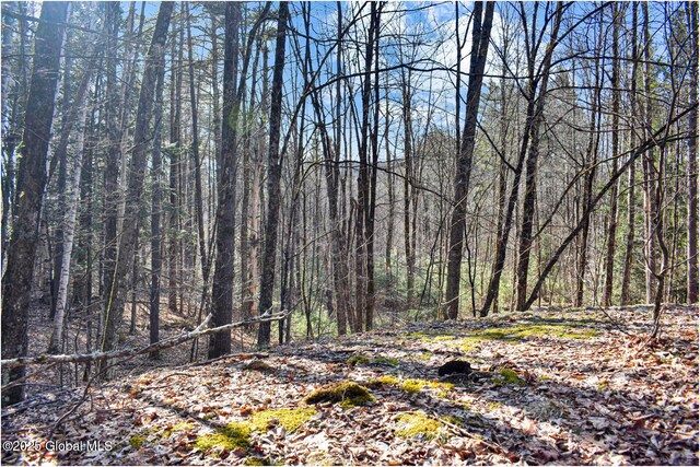 L9 New Hague Rd, Hague, NY 12836 - photo 45
