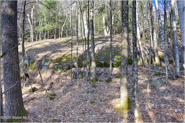 L9 New Hague Rd, Hague, NY 12836 - photo 34