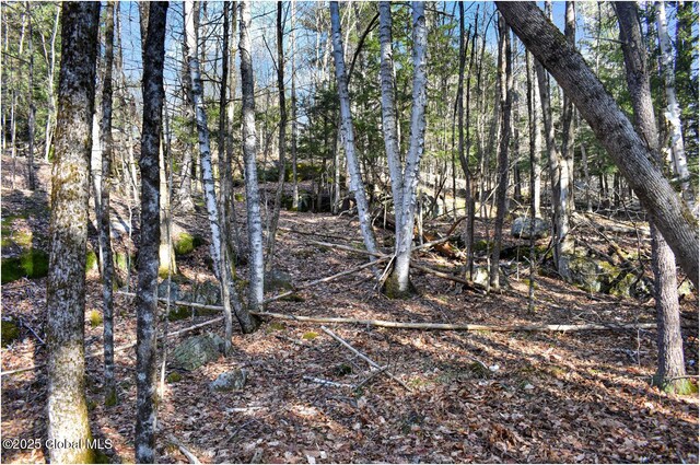 L9 New Hague Rd, Hague, NY 12836 - photo 46