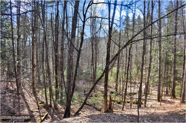 L9 New Hague Rd, Hague, NY 12836 - photo 47