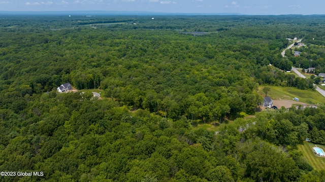 26 Olympia Ct, Stillwater, NY 12118 - aerial overview of property's location with a heavily wooded area