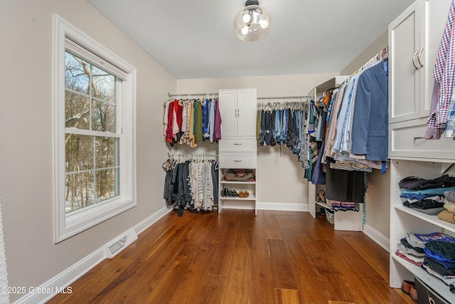 walk in closet with wood finished floors