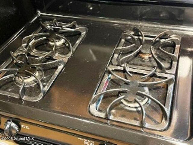 11 Beaureguard Way, Minerva, NY 12851 - kitchen view of gas range oven