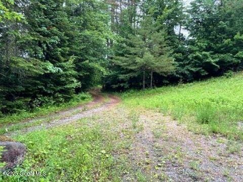 11 Beaureguard Way, Minerva, NY 12851 - view of undeveloped land