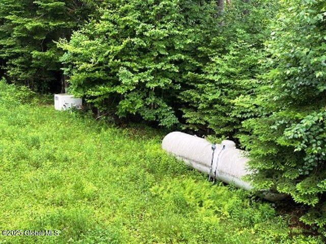 11 Beaureguard Way, Minerva, NY 12851 - exterior view