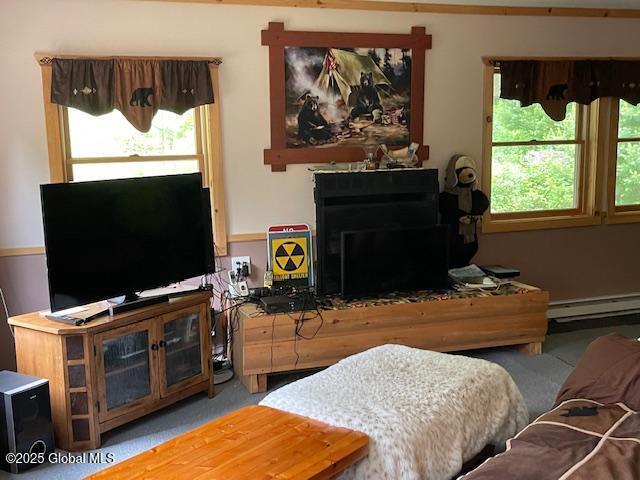 11 Beaureguard Way, Minerva, NY 12851 - living area with a baseboard radiator and healthy amount of natural light