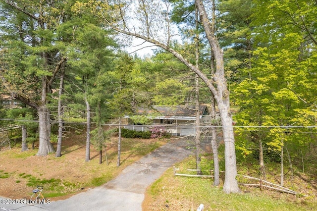 204 Greenfield Ave, Milton, NY 12020 - view of yard featuring asphalt driveway and a view of trees