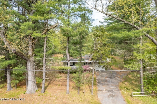 204 Greenfield Ave, Milton, NY 12020 - view of front of property featuring driveway and a forest view