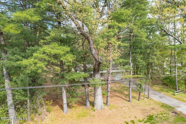 204 Greenfield Ave, Milton, NY 12020 - view of yard featuring a view of trees