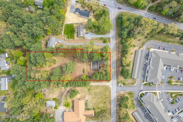204 Greenfield Ave, Milton, NY 12020 - aerial view of property and surrounding area featuring property boundaries highlighted