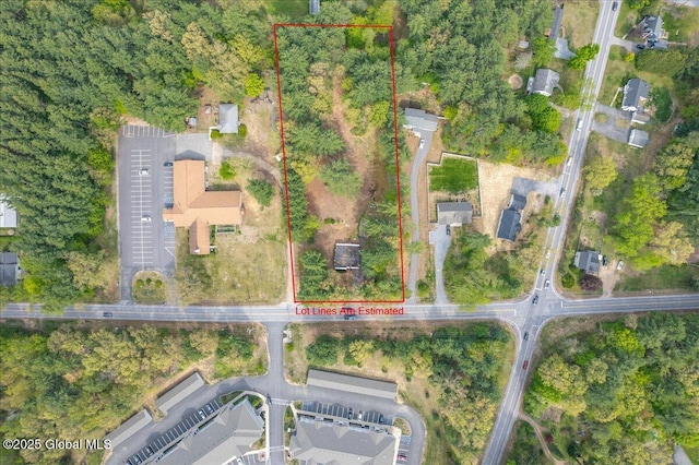 204 Greenfield Ave, Milton, NY 12020 - aerial view of property and surrounding area with property boundaries highlighted