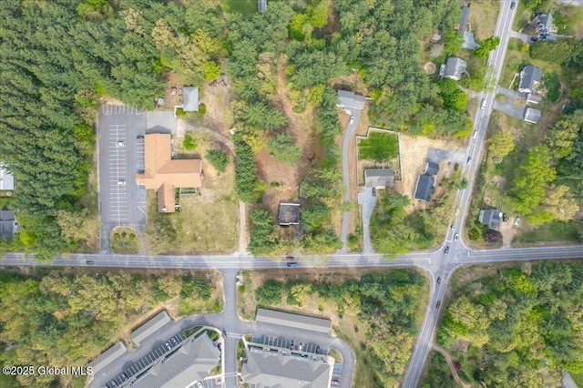 204 Greenfield Ave, Milton, NY 12020 - aerial view of property and surrounding area