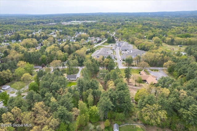 204 Greenfield Ave, Milton, NY 12020 - aerial overview of property's location with a heavily wooded area