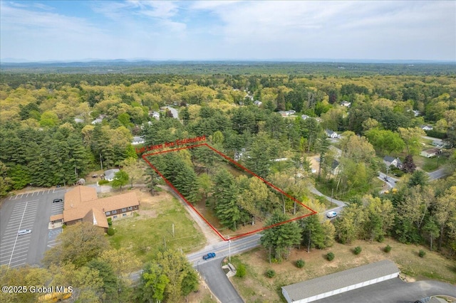 204 Greenfield Ave, Milton, NY 12020 - view of property location with a heavily wooded area and property parcel outlined