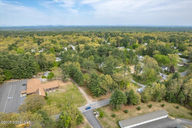 204 Greenfield Ave, Milton, NY 12020 - aerial view of property's location with a heavily wooded area