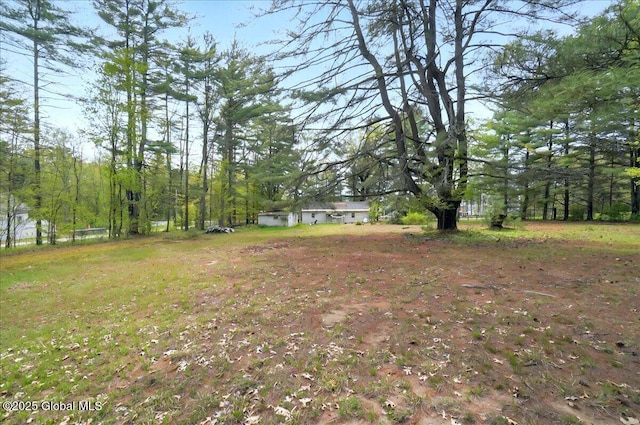 204 Greenfield Ave, Milton, NY 12020 - view of yard