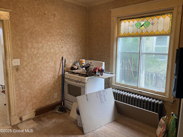 20 Henry St, Schenectady, NY 12304 - kitchen with healthy amount of natural light, white range with gas stovetop, radiator, ornamental molding, and wood finished floors