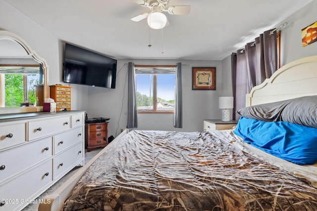 18 Main St, Berne, NY 12059 - bedroom featuring a ceiling fan