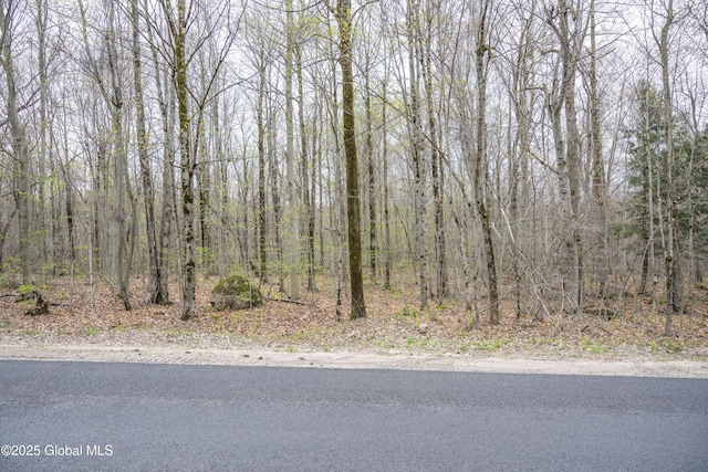 L47 Boyd Pond Rd, Russell, NY 13684