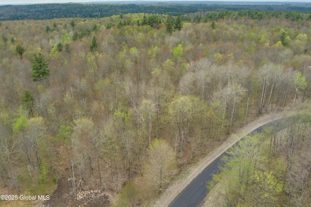 L47 Boyd Pond Rd, Russell, NY 13684