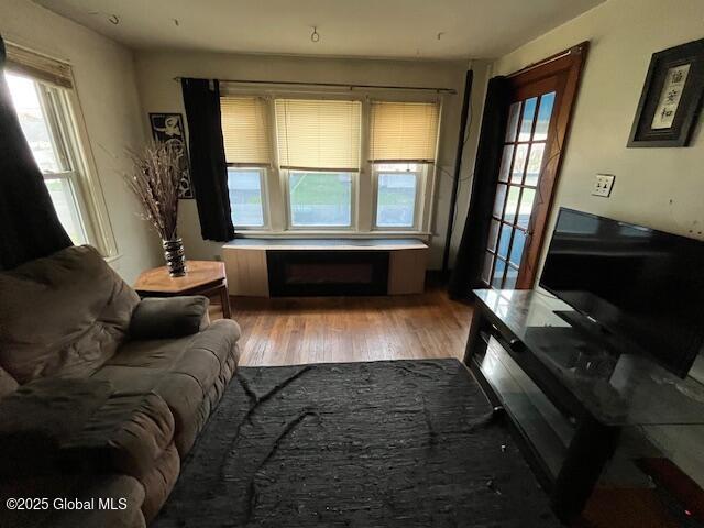 3 Tulip St, Rotterdam, NY 12306 - living room with plenty of natural light and wood finished floors