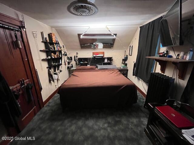 3 Tulip St, Rotterdam, NY 12306 - game room with billiards, baseboards, carpet, and radiator heating unit