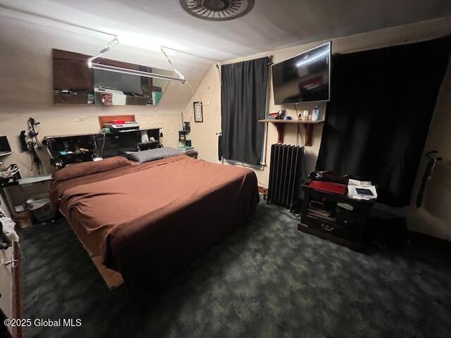 3 Tulip St, Rotterdam, NY 12306 - carpeted bedroom with radiator heating unit