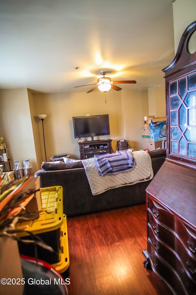 living area featuring ceiling fan and wood finished floors