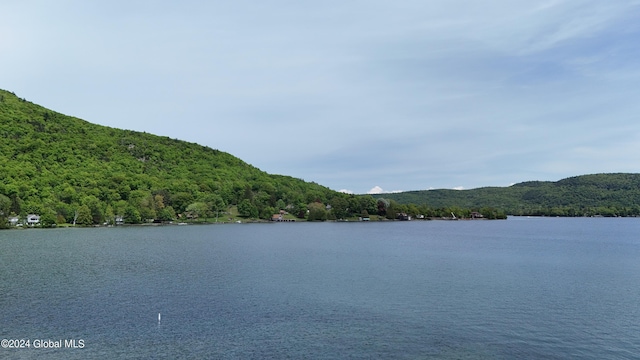 601/603 Baldwin Rd, Ticonderoga, NY 12883 - water view with a heavily wooded area
