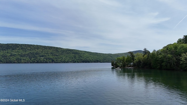 601/603 Baldwin Rd, Ticonderoga, NY 12883 - water view with a forest