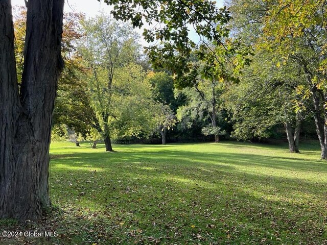 601/603 Baldwin Rd, Ticonderoga, NY 12883 - view of green lawn