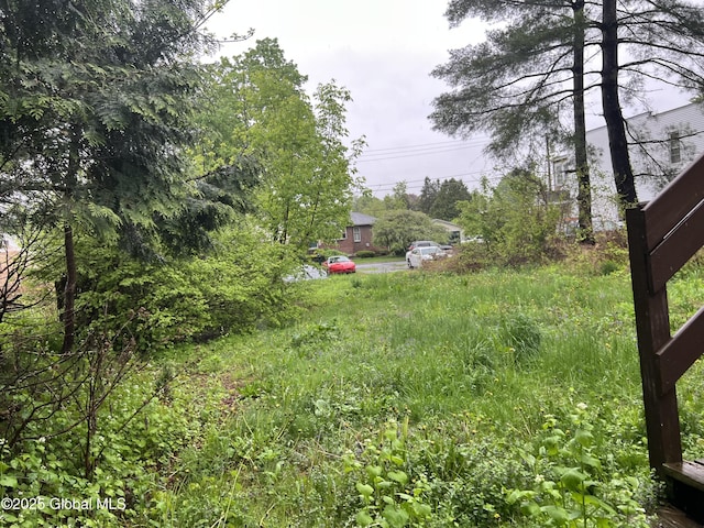 92 N Pearl St, Schaghticoke, NY 12118 - view of yard