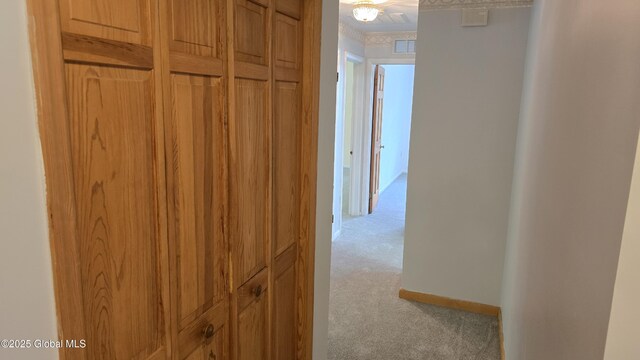 505 Elm Ave, Bethlehem, NY 12158 - corridor with carpet and baseboards