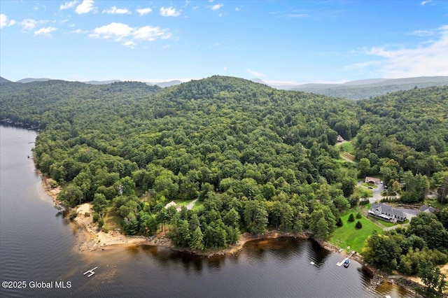 10 E Beachwood Rd, Day, NY 12835 - photo 24