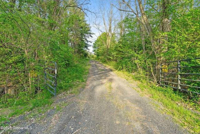 314 High Rock Rd, New Baltimore, NY 12192