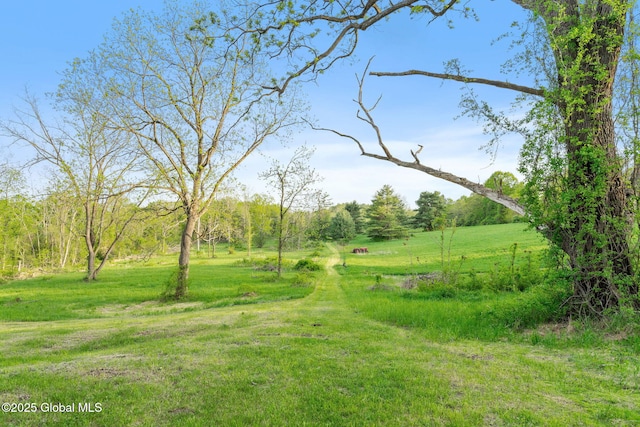 314 High Rock Rd, New Baltimore, NY 12192