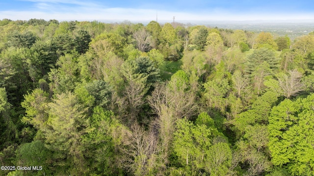 314 High Rock Rd, New Baltimore, NY 12192