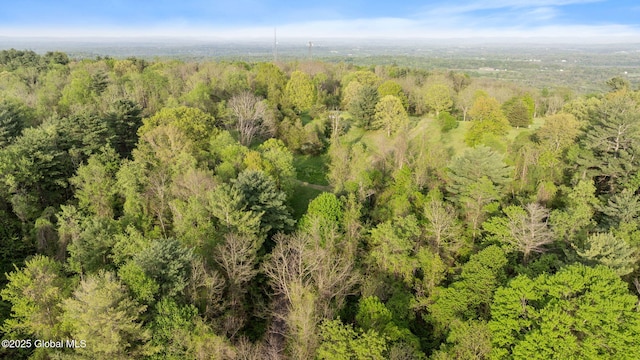 314 High Rock Rd, New Baltimore, NY 12192
