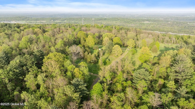 314 High Rock Rd, New Baltimore, NY 12192