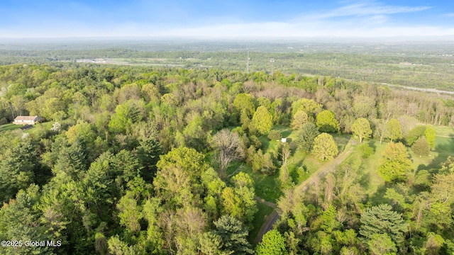 314 High Rock Rd, New Baltimore, NY 12192