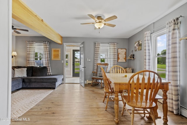 109 Wood Rd, Ballston Spa, NY 12020 - dining room featuring a ceiling fan, healthy amount of natural light, and wood finished floors