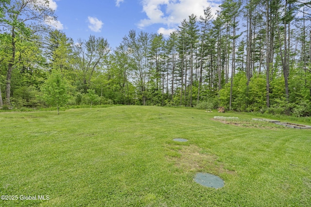 109 Wood Rd, Ballston Spa, NY 12020 - view of grassy yard