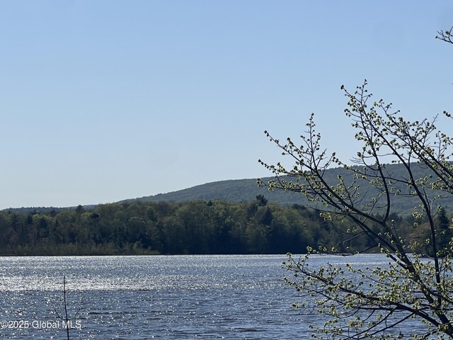 134 Lake St, Mayfield, NY 12117