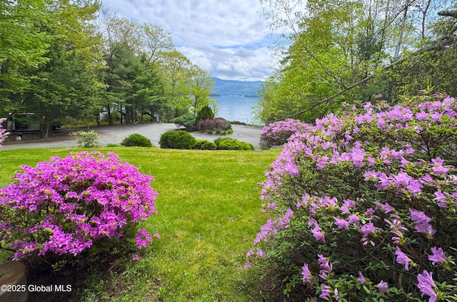 110 Juniper Hill Dr Unit 34, Bolton, NY 12814 - view of green lawn featuring a water view